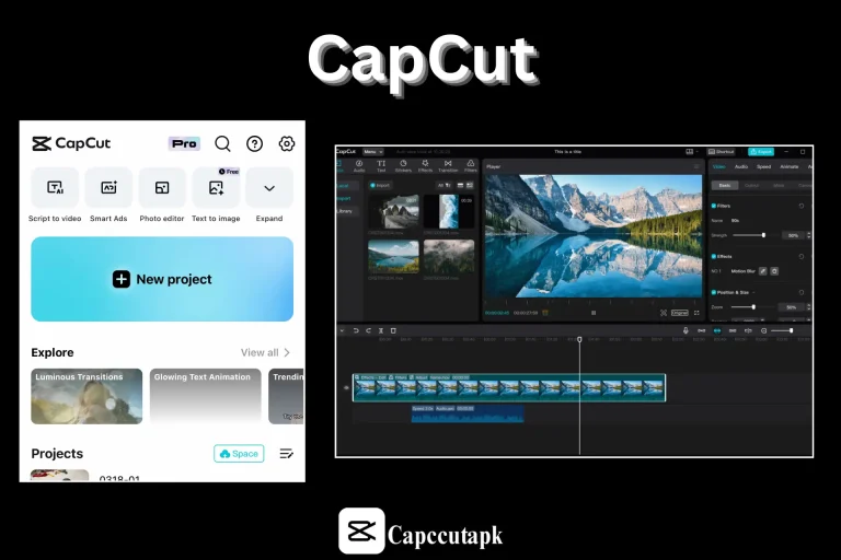 CapCut User interface