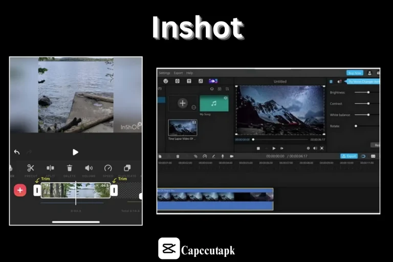 Inshot user interface